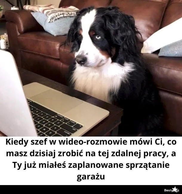 Praca zdalna