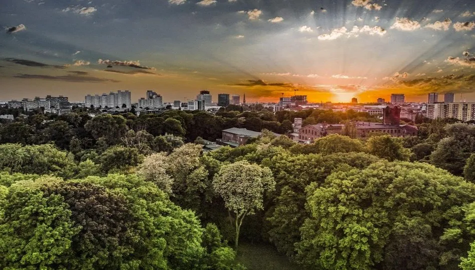 Zdanowska narzeka na rząd. Chodzi o Zielone Expo