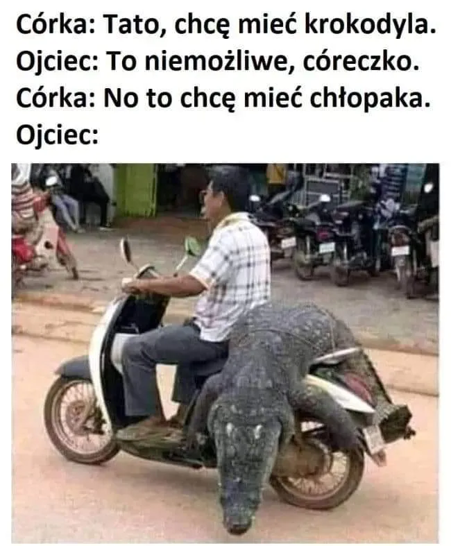 Tato, krokodyla