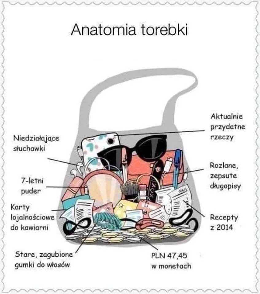 Anatomia torebki