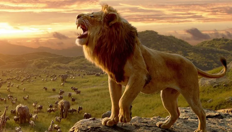 Powstaje kontynuacja "Króla Lwa"! Disney zatrudnił wyjątkowego reżysera