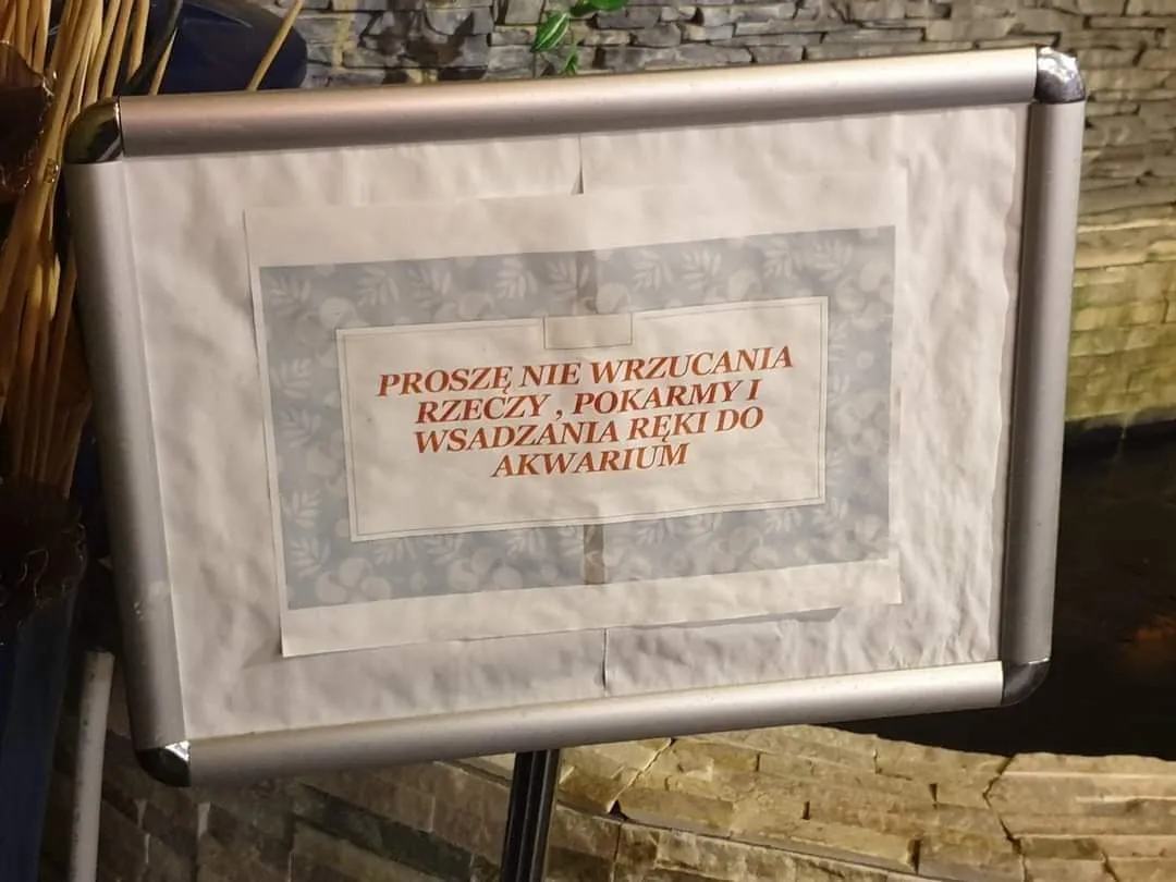 Co autor miał na myśli?