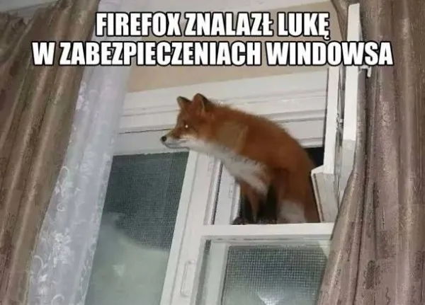 Firefox