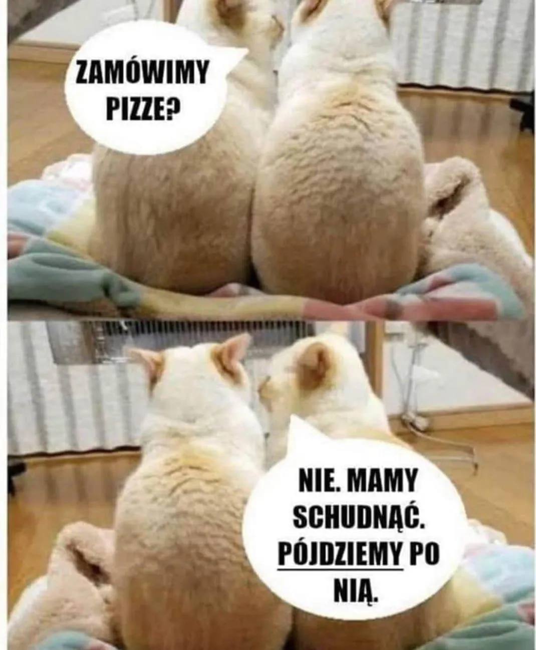 Zamówimy pizzę?