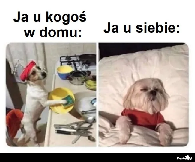Ja u kogoś