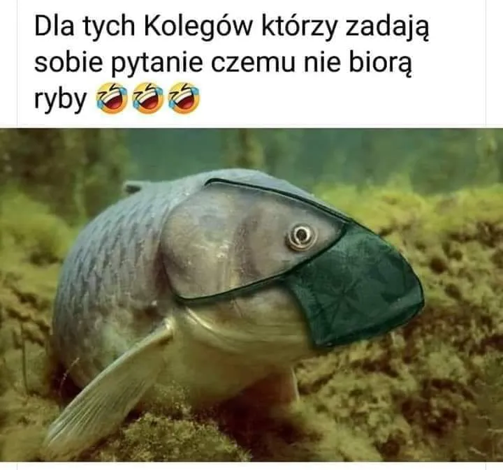 Ryby nie biorą...