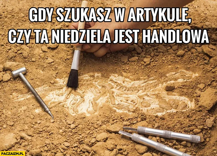 Niedziela handlowa