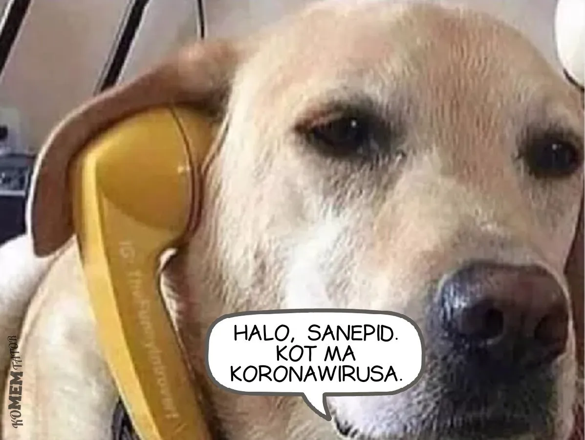 Uprzejmie donoszę...
