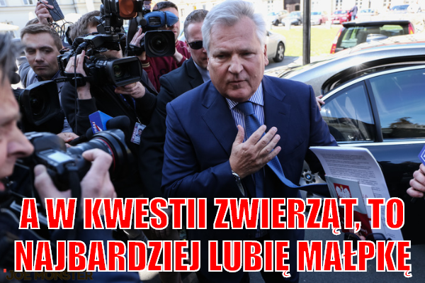 Olek i prawa zwierząt