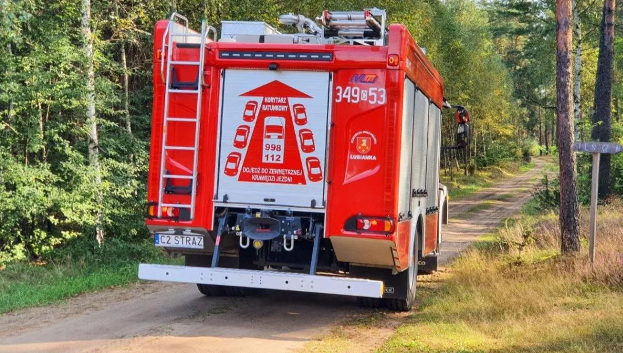 Powalone drzewa i obłamane konary w regionie