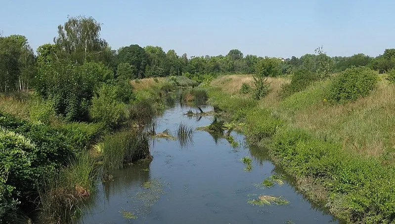 Wciąż przekroczone stany alarmowe i ostrzegawcze na rzekach
