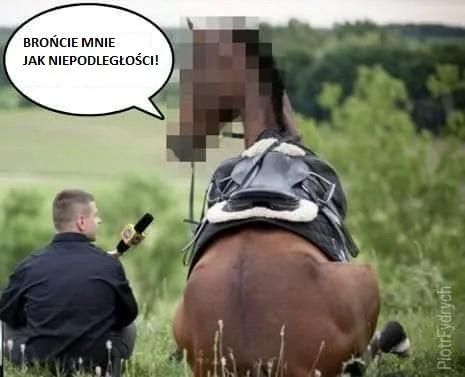 Wypowiedź konia