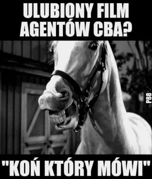 Ulubiony film agentów CBA