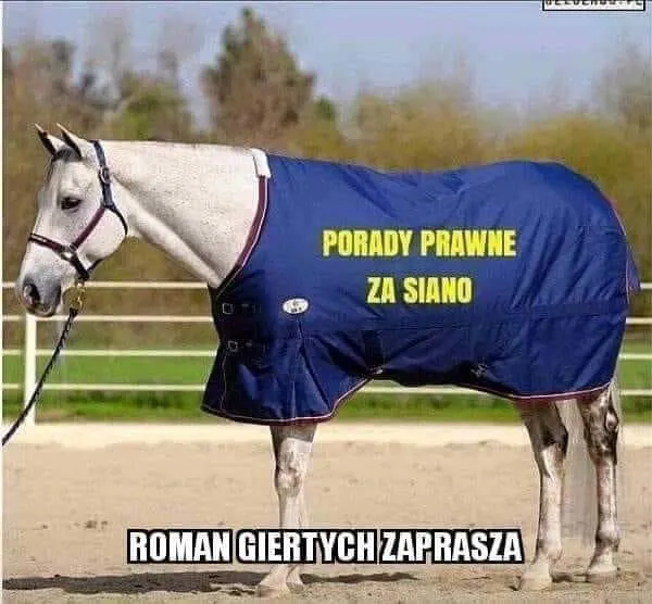 Porady za siano