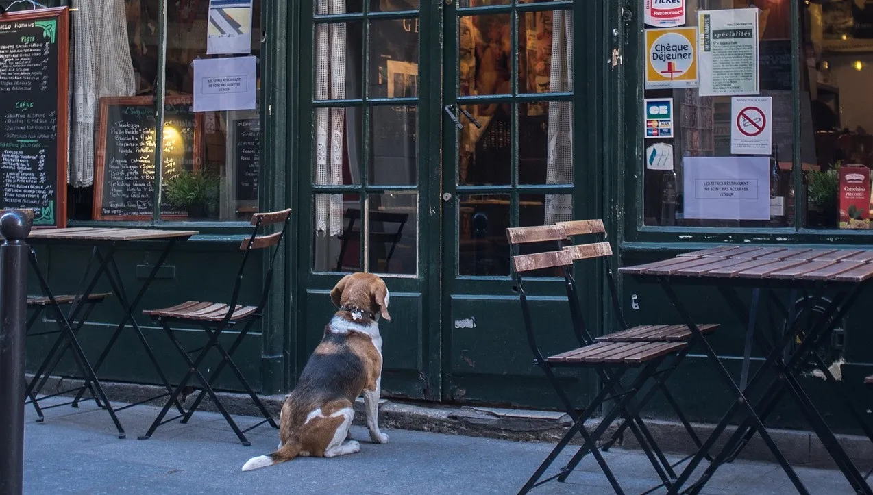 Francuscy restauratorzy toną w długach