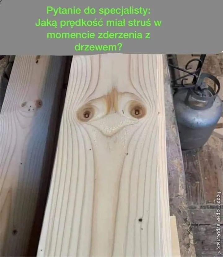 Pytanie do specjalisty