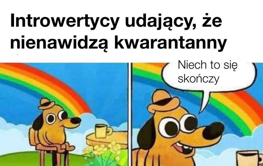 Introwertycy