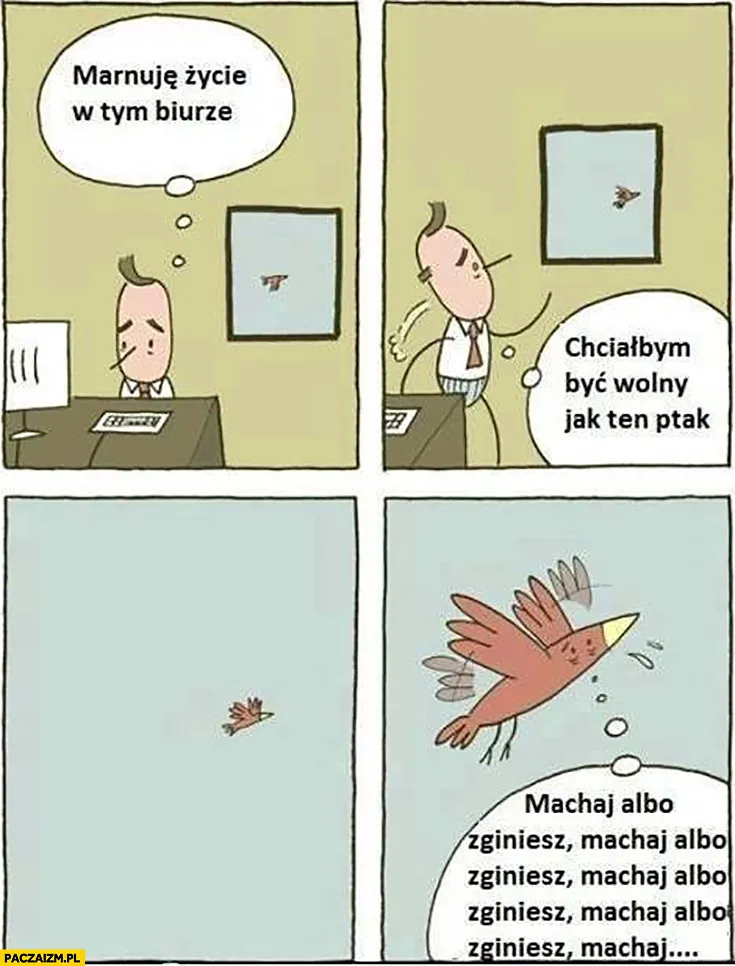 Marnuję życie w biurze