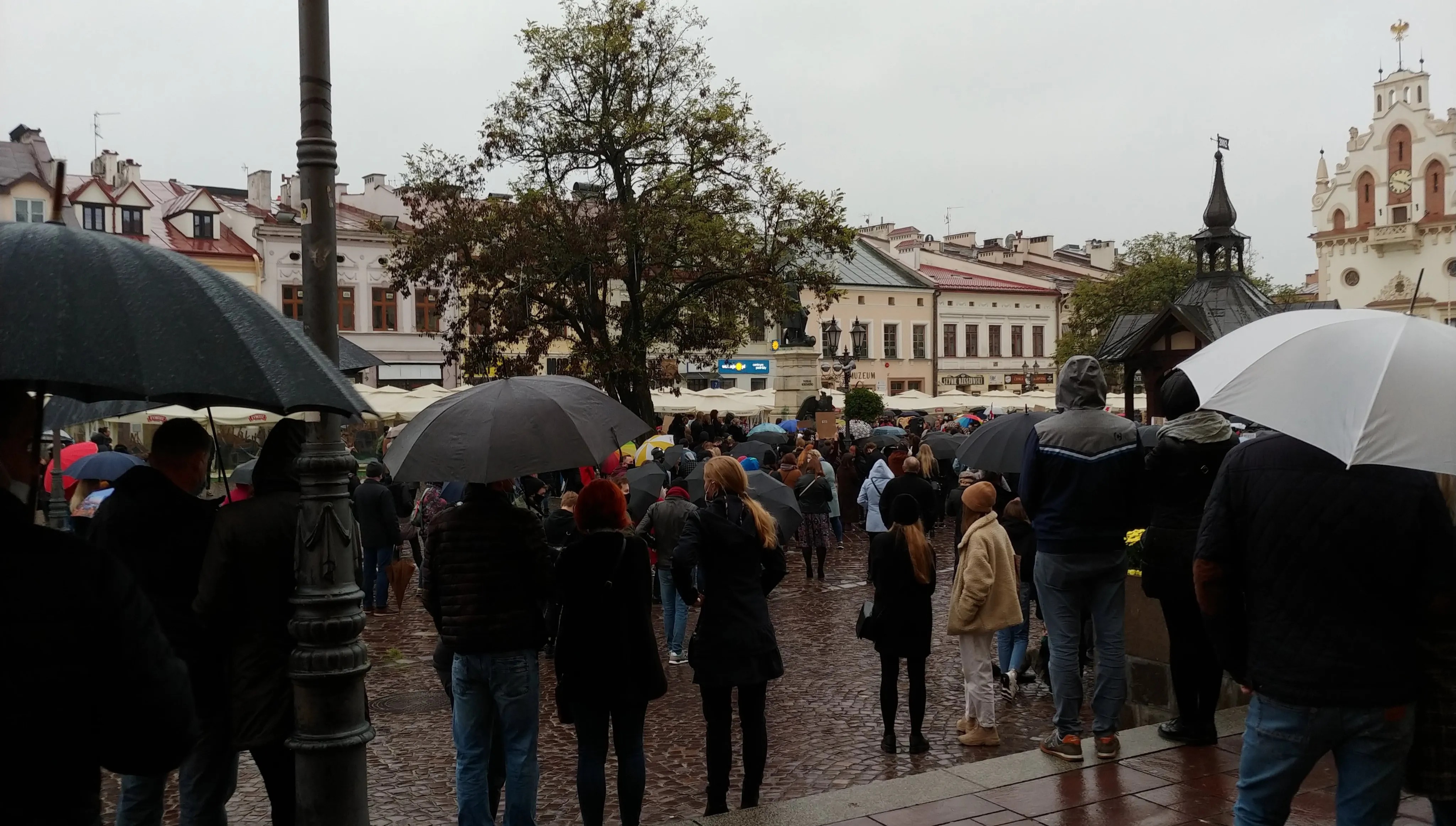 „Wyp.....ć”, „Jeb..ć PiS i Godek”. Protest w Rzeszowie