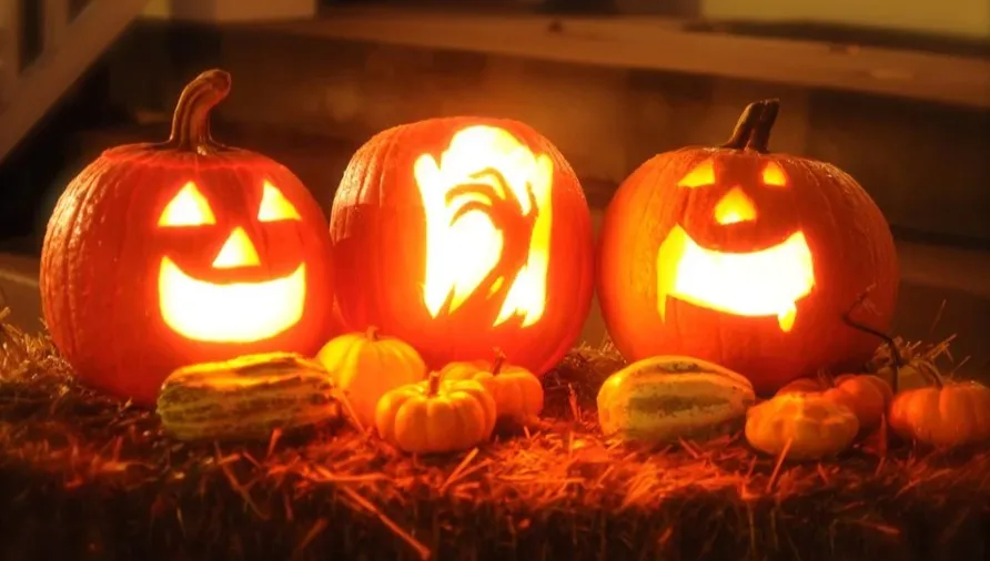 Halloween, czyli dynie na śmietnik
