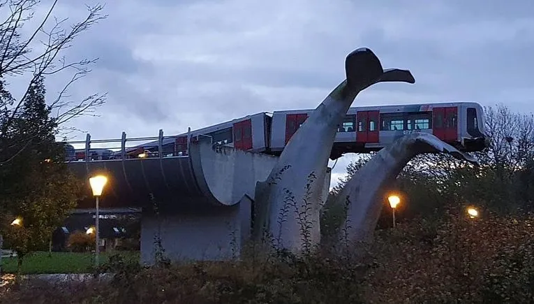 Metro zatrzymało się na... ogonie wieloryba. To nie żart - ZOBACZ ZDJĘCIA