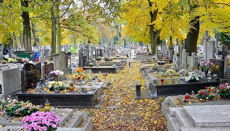 Stołeczne nekropolie otwarte: sprzedawcy kwiatów apelują o pomoc