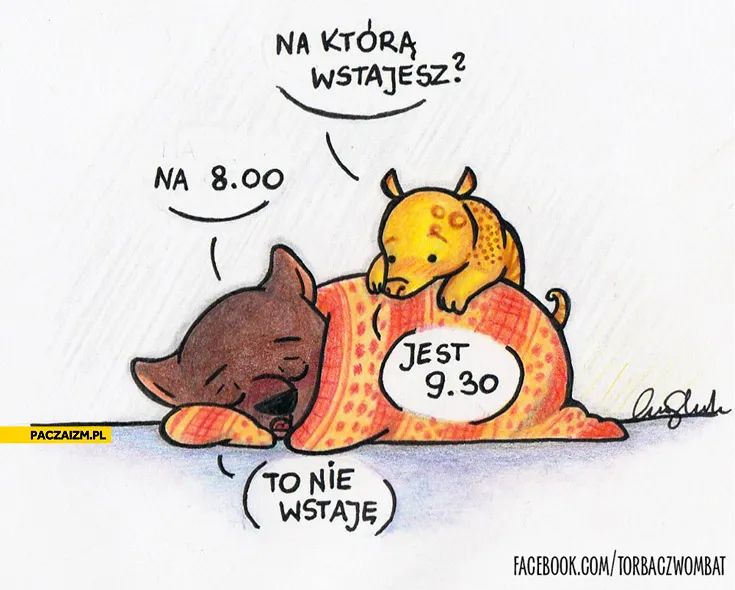 Pobudka