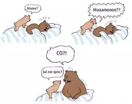 Już nie śpisz