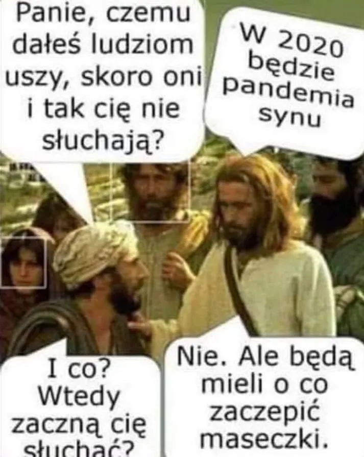 Po co im uszy?