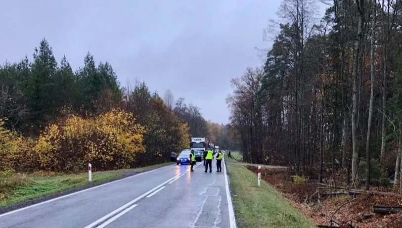 To on śmiertelnie potrącił pieszego?