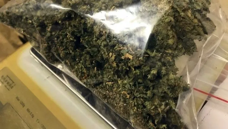 W plecaku i mieszkaniu miał setki dawek marihuany
