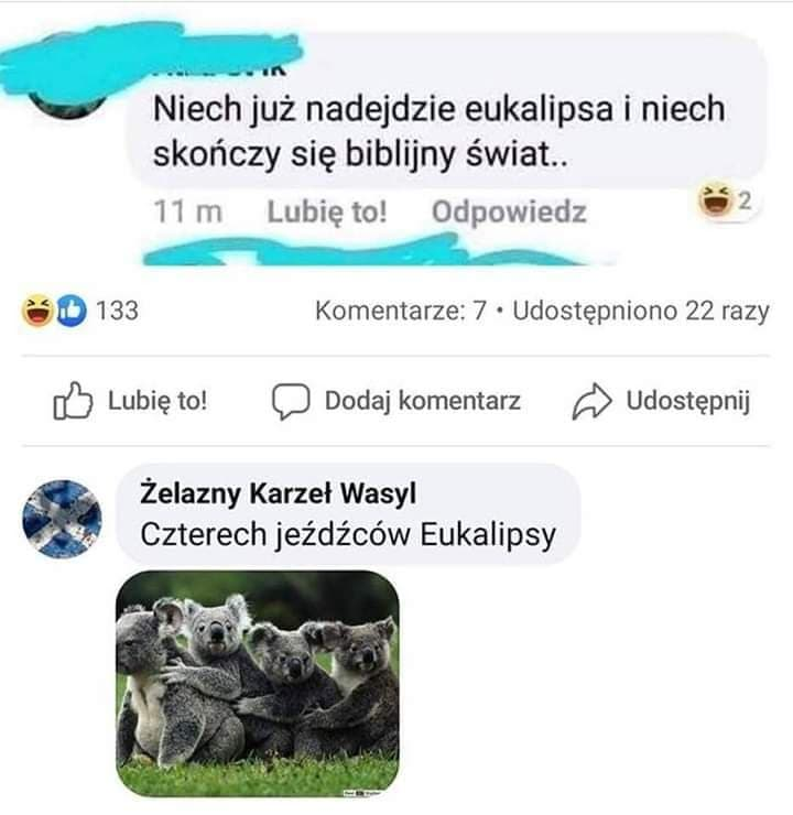 Eukalipsa