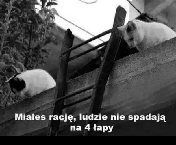 Miałeś rację