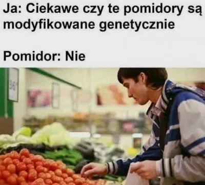 Pomidor odpowiada