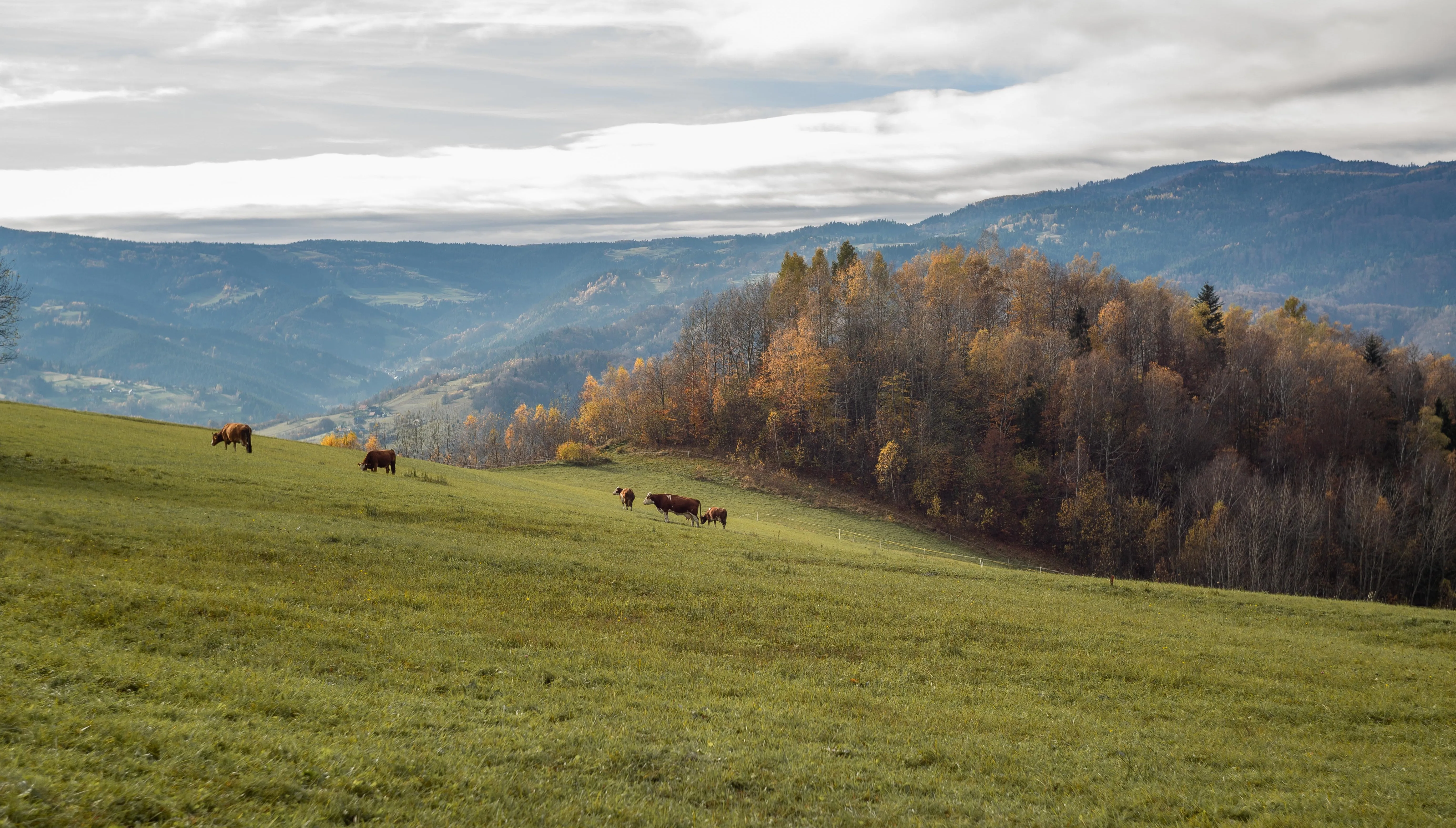 Warunki w Beskidach na ogół dobre