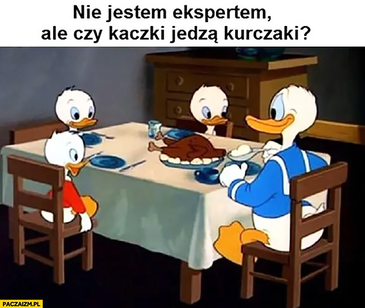 Ekspert od kaczek poszukwiany