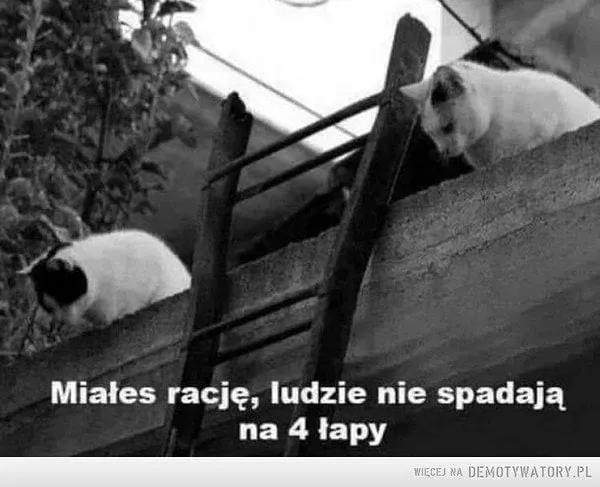 Miałeś rację