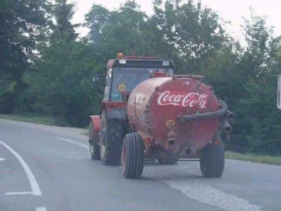 Czuć święta