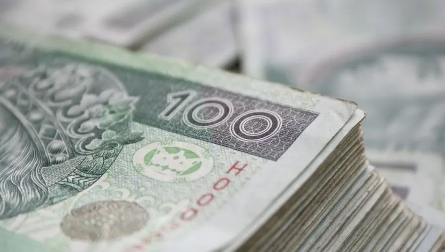 Wyłudzali środki z tarczy finansowej