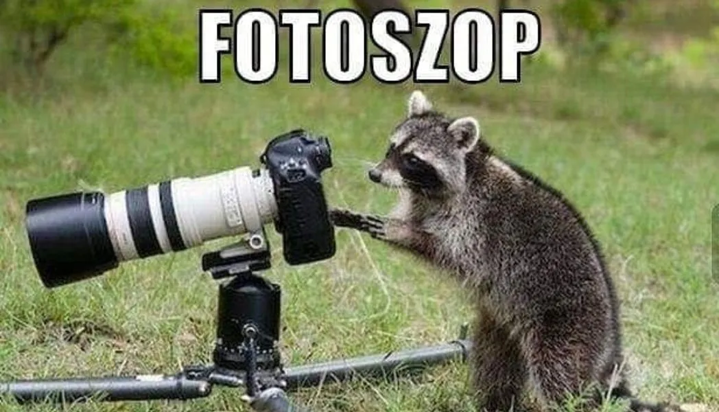 Fotoszop