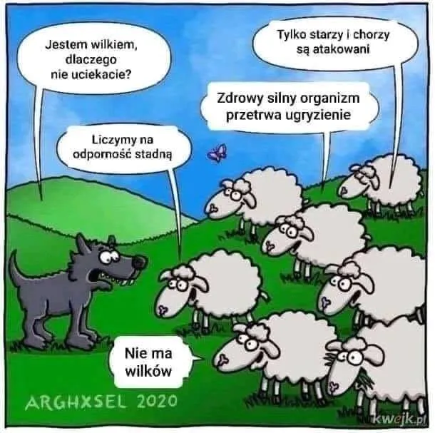 Wilków nie ma