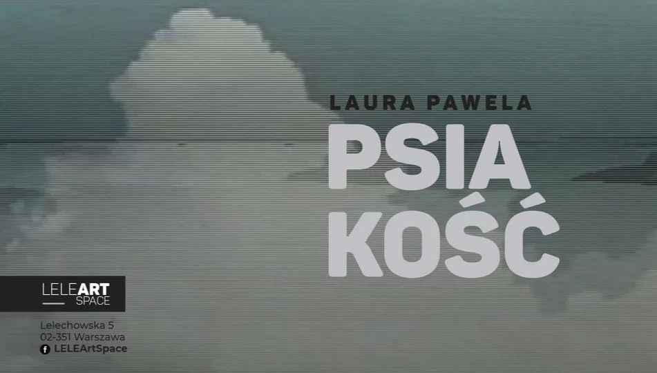 Wystawa "Psiakość" od wtorku