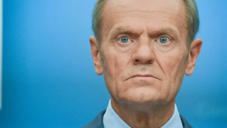Zdjęcie główne