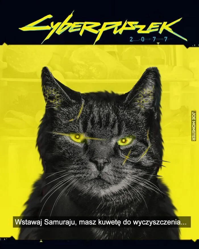 CyberPuszek...