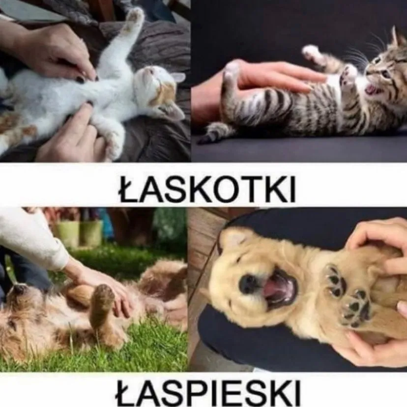 Łaspieski