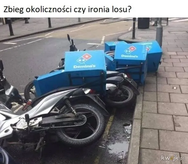 Domino(s)
