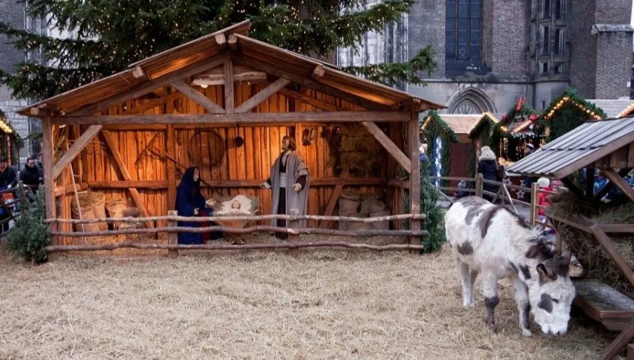 Ruchoma szopka w krakowskim ZOO. Święta Rodzina w towarzystwie kóz i osiołka