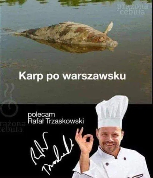 Karp po warszawsku