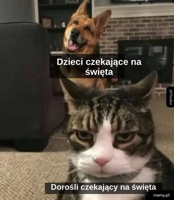 Dzieci vs dorośli