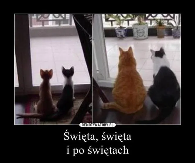 To by było na tyle